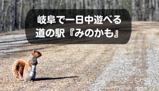 岐阜で一日中遊べる道の駅『みのかも』