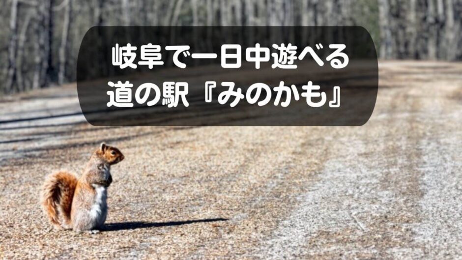 岐阜で一日中遊べる道の駅『みのかも』