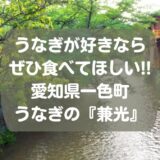 うなぎが好きならぜひ食べてほしい!!愛知県一色町／うなぎの『兼光』